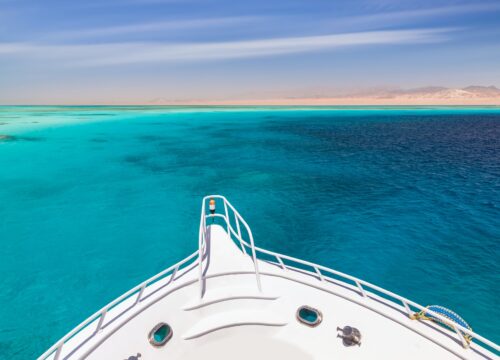 Delfin VIP Ausflug ab Hurghada – Schwimmen mit Delfinen im Roten Meer