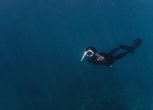 Giftun-Insel – Paradiesisches Schnorcheln im Roten Meer