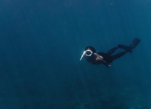 Giftun-Insel – Paradiesisches Schnorcheln im Roten Meer