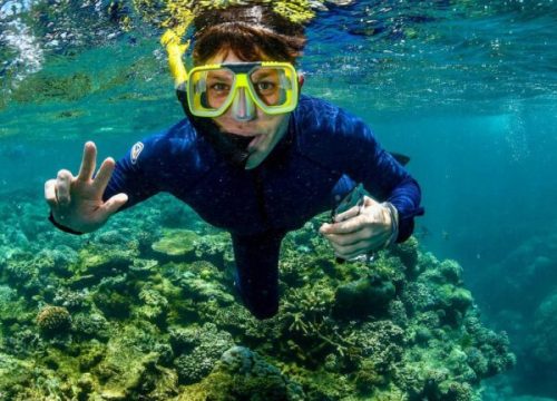 Delfin Tour ab Makadi Bay – mit freilebenden Delfinen im Roten Meer schwimmen