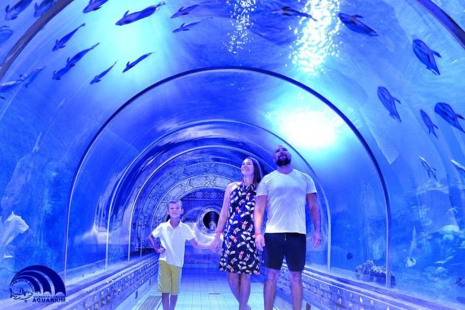 Grand Aquarium Hurghada – Ausflug zu Ägyptens faszinierender Unterwasserwelt