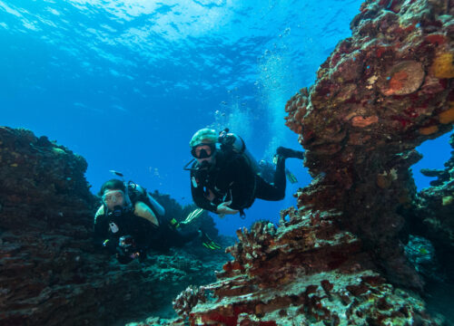 Die besten Tauch- und Schnorchelspots in Hurghada – Entdecke die faszinierende Unterwasserwelt des Roten Meeres