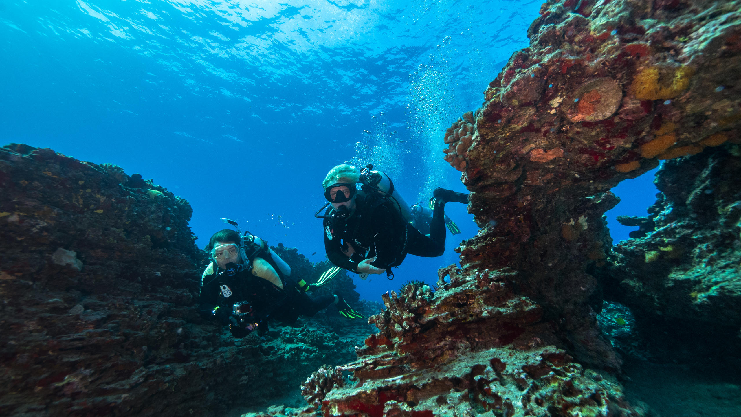 Tauch- und Schnorchelspots in Hurghada am Roten Meer"