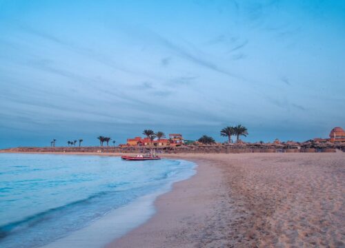 Schnorcheln mit Schildkröten in Ägypten – Dein kompletter Guide zum Tagesausflug im Abu-Dabbab-Stil