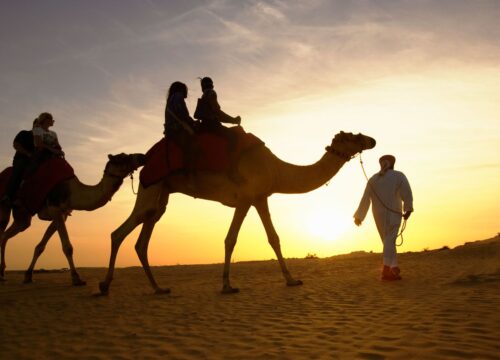 Nachttouren und Unterwasserabenteuer in Hurghada: Unvergessliche Erlebnisse unter dem Sternenhimmel