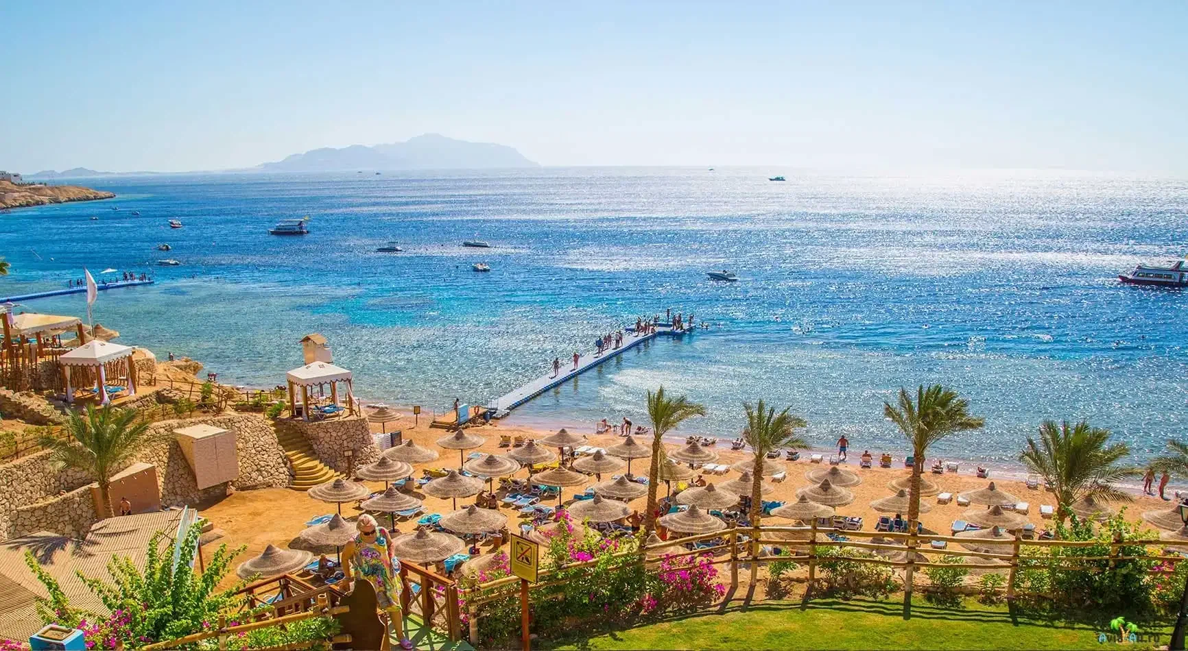 Sharm El Sheikh Ausflüge – Schnorcheln im Roten Meer