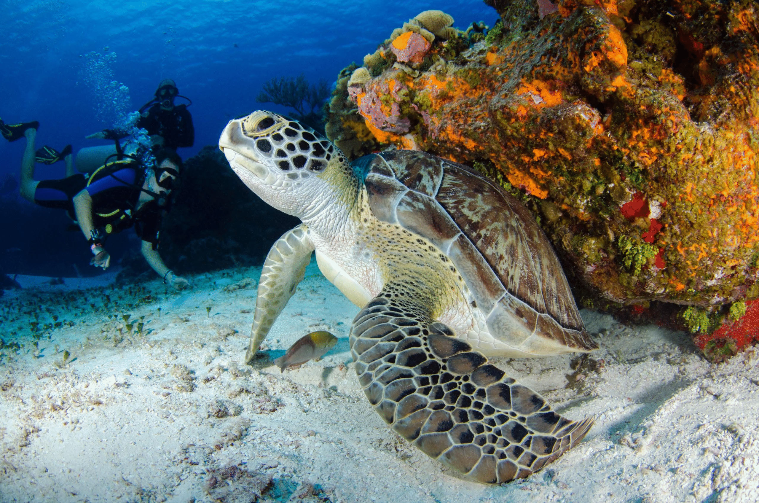 Ausflüge ab Hurghada – Bootstour auf dem Roten Meer