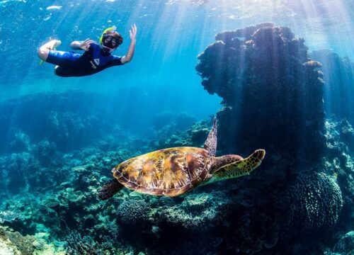 Entspannte Bootstouren, Inselerlebnisse und Schnorchelspots im Roten Meer