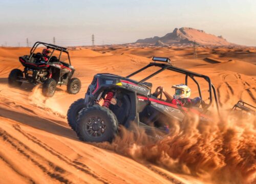 Tagesausflüge, Bootstouren und Safaris: So wählt man die perfekte Aktivität in Ägypten