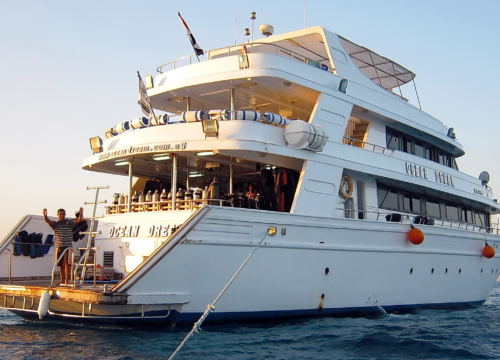 Exklusive VIP-Touren: Individuelle Routen, maximaler Komfort und private Erlebnisse