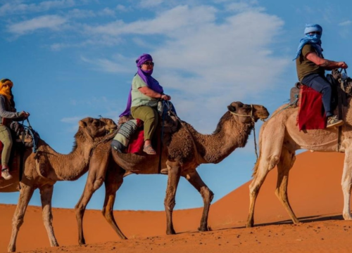 Kombinationsreisen „Stadt + Wüste“: Geschichte und Abenteuer in einem Tag