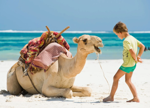 Familienfreundliche Ausflüge und Aktivitäten: Spaß für Groß und Klein