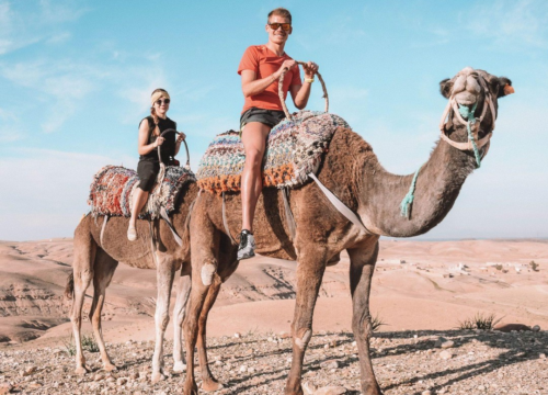 Touren mit klaren Abläufen – entspannt reisen mit Struktur und Übersicht