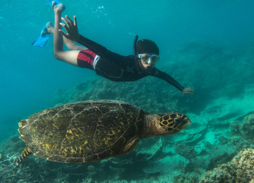 Maximal erleben, minimal vorbereiten – Ausflüge für entspannte Entdecker