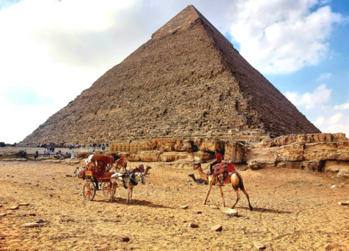 Stadt & Wüste erleben: Kultur, Geschichte und Abenteuer perfekt kombiniert