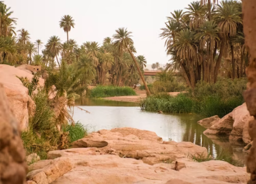 Oasen Ägyptens – Siwa, Fayoum & Bahariya entdecken