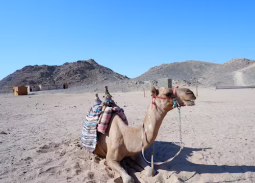 Wüstentour in Hurghada – Abenteuer, Natur und echte Wüstenerlebnisse