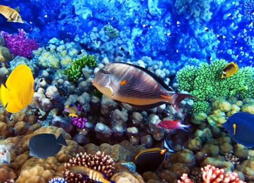 Zinsen in Kairo 2026: Warum steigende Preise den Tourismus in Hurghada, Kairo und Luxor überraschend stark beeinflussen