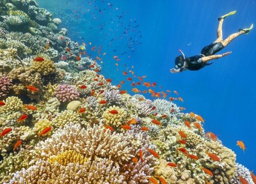 Schnorcheln in Hurghada 2026: Orange Bay, Paradise Island & Mahmya gehören zu den beliebtesten Hurghada Ausflügen in Ägypten